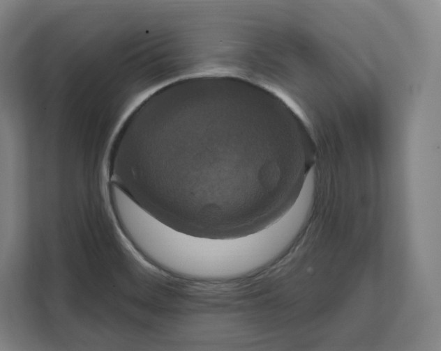 X0000112201468200908211531