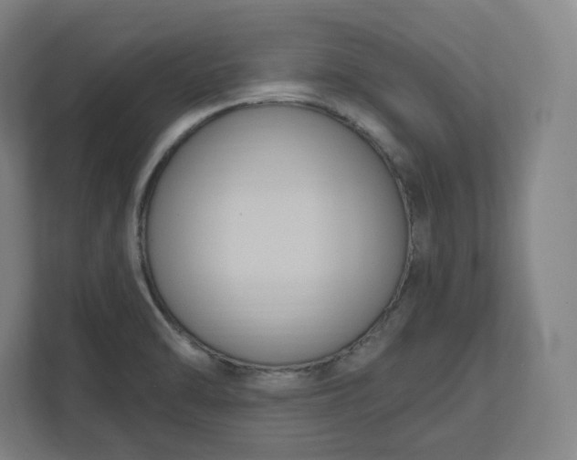 X0000112201470200908211531