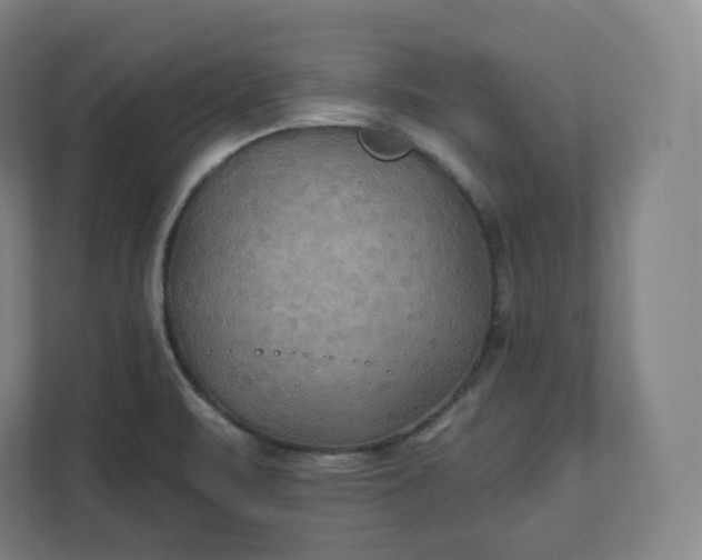 X0000112201471200908211531