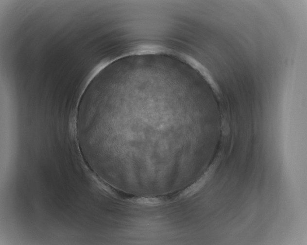 X0000112201473200908211531