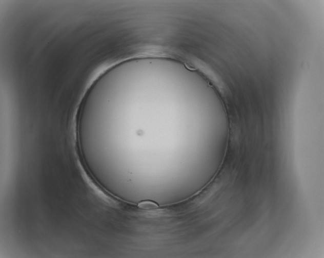 X0000112201479200908211530