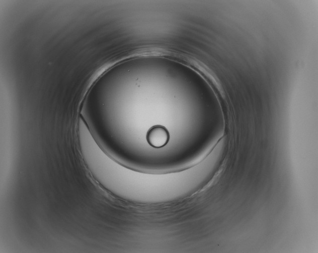 X0000112201481200908211530