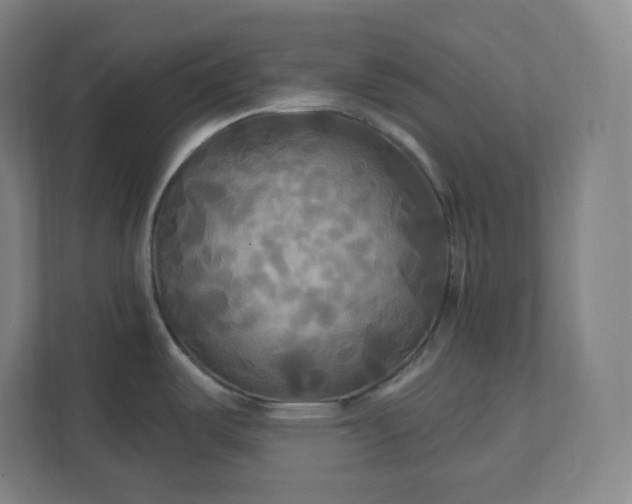 X0000112201487200908211530