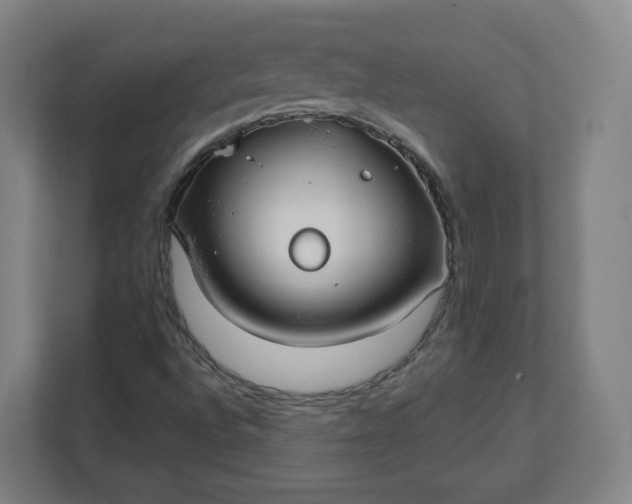 X0000112201496200908211530