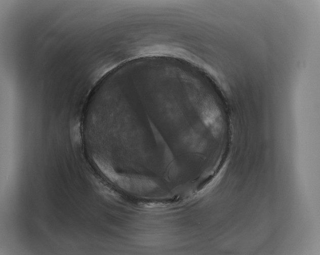 X0000112201497200908211530