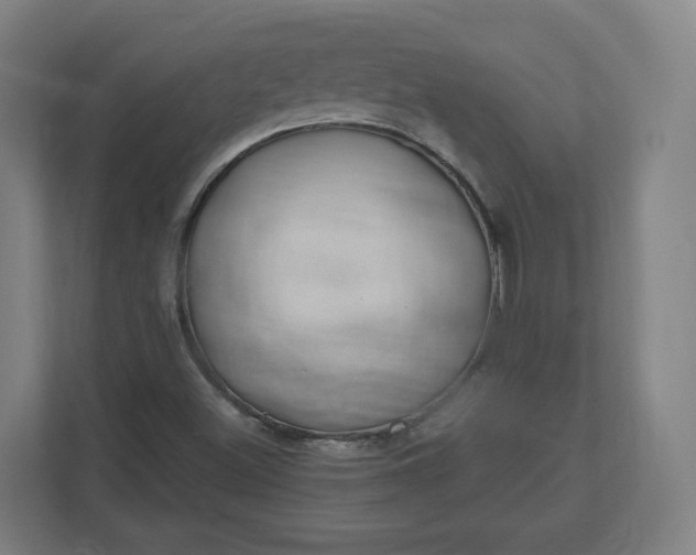 X0000112201500200908211530