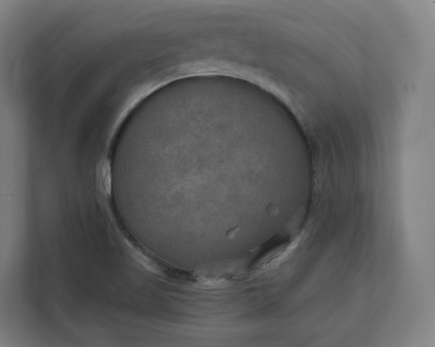 X0000112201509200908211530