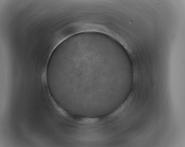 X0000112201513200908211530