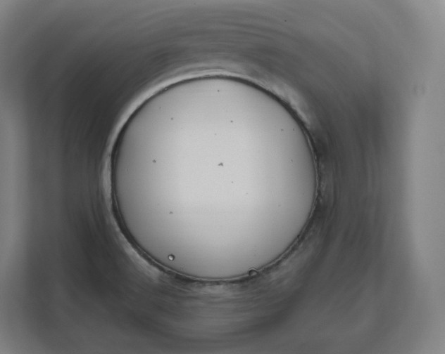 X0000112201516200908211530