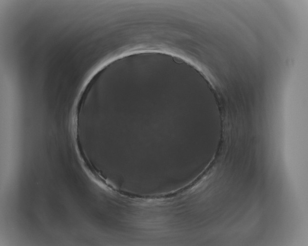 X0000112201519200908211530