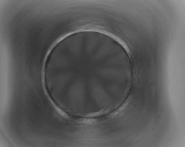 X0000112201525200908211530