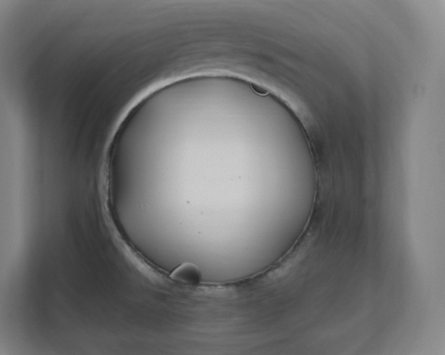 X0000112201526200908211530