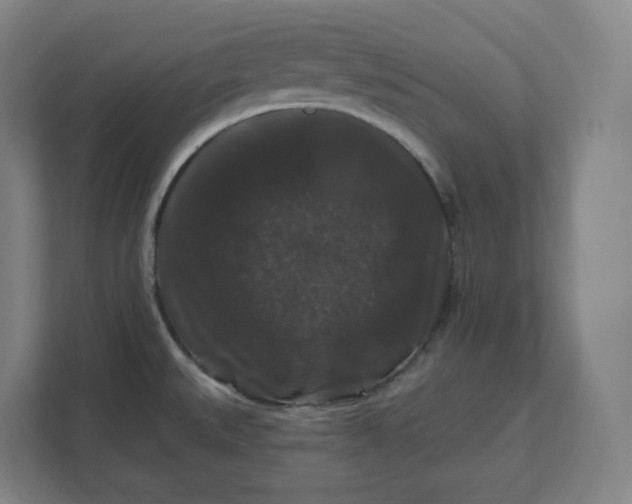 X0000112201527200908211530