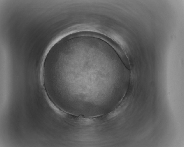 X0000112201528200908211530