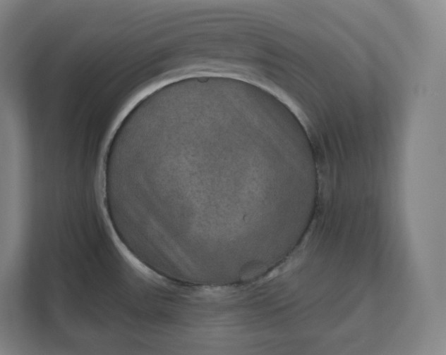 X0000112201531200908211530