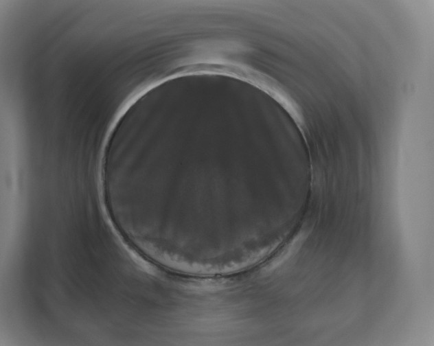 X0000112201533200908211530