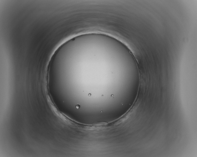 X0000112201534200908211530