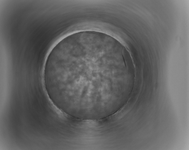 X0000112201536200908211530