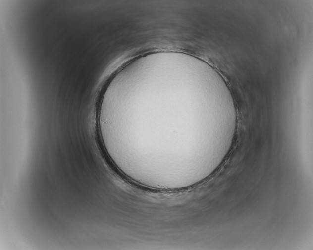 X0000112200005200908281448