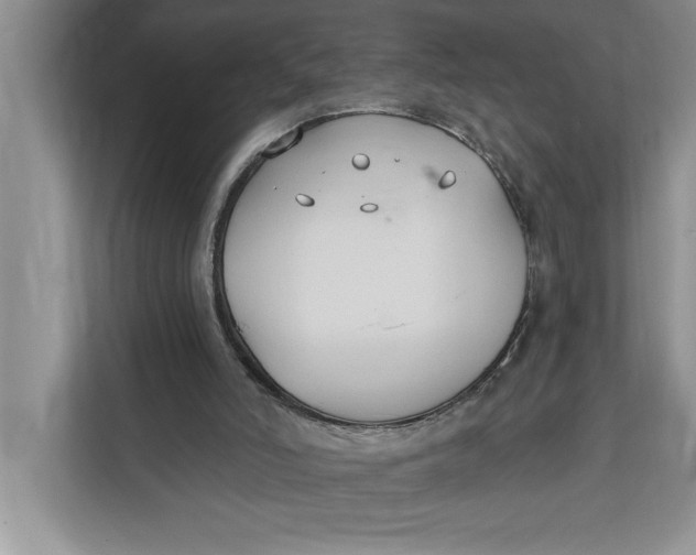 X0000112200006200908281448