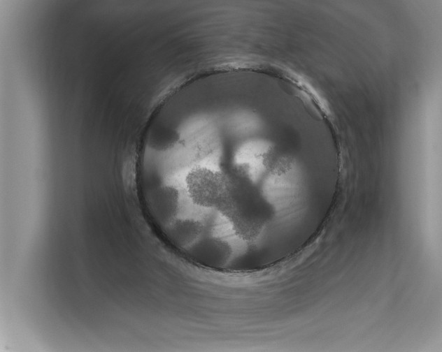 X0000112200010200908281448