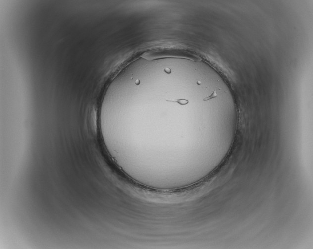 X0000112200014200908281448