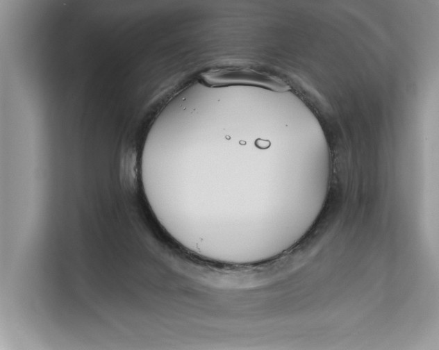 X0000112200024200908281448