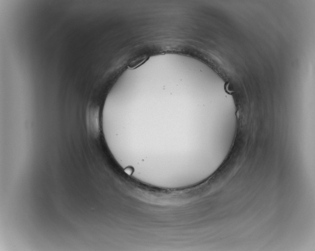 X0000112200028200908281448