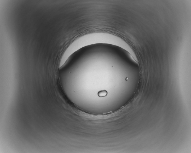 X0000112200039200908281448