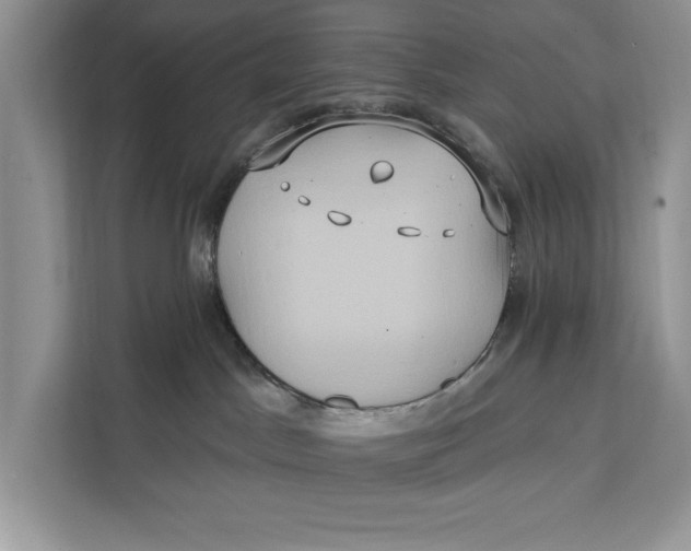 X0000112200045200908281448