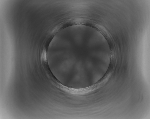 X0000112200046200908281448