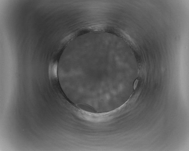 X0000112200047200908281448