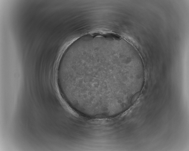 X0000112200049200908281447