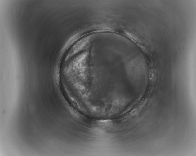 X0000112200053200908281447