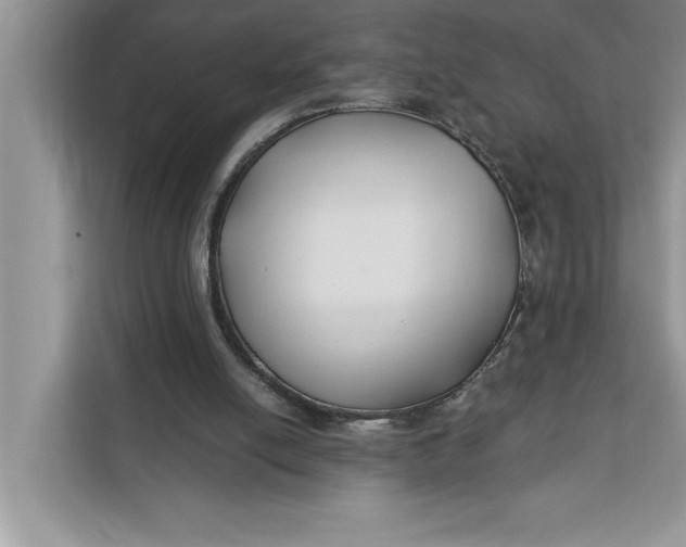 X0000112200054200908281447