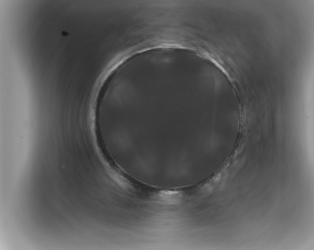 X0000112200055200908281447