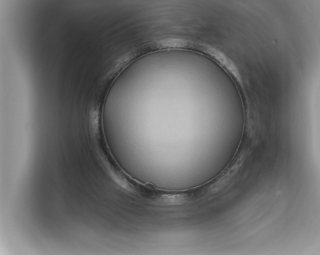 X0000112200057200908281447