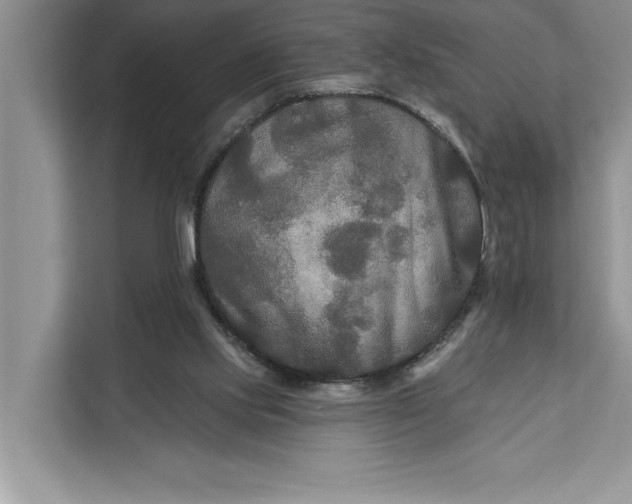 X0000112200061200908281447