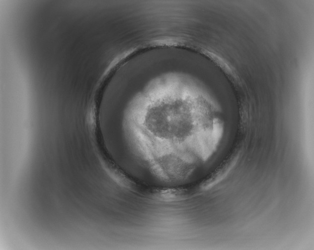 X0000112200064200908281447