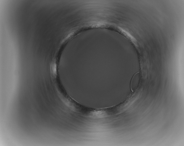 X0000112200067200908281448