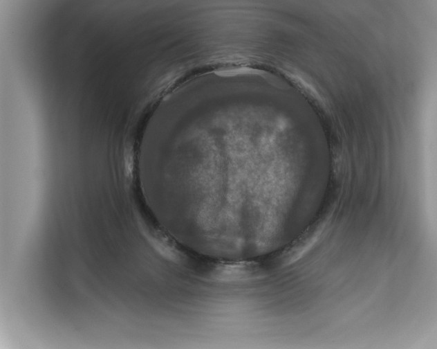 X0000112200072200908281448