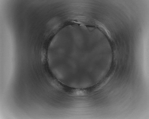 X0000112200073200908281448