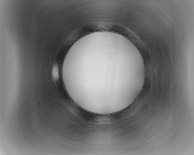 X0000112200075200908281448