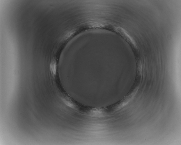 X0000112200076200908281448