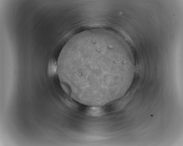 X0000112200095200908281448