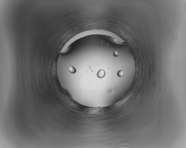 X0000112200096200908281448