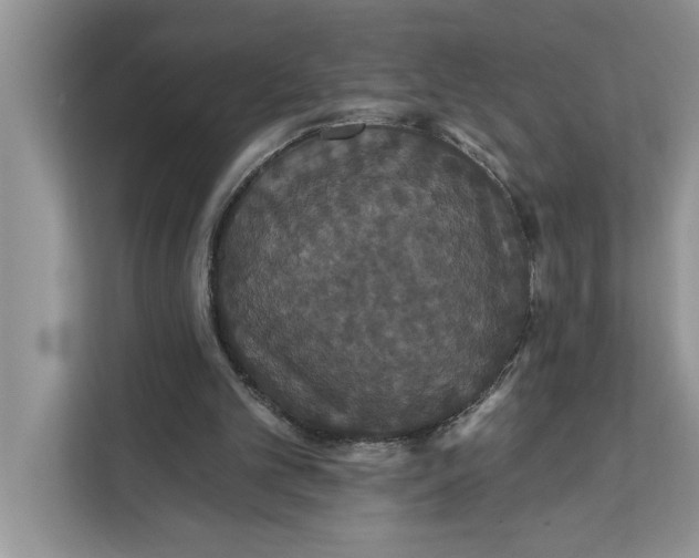 X0000112200101200908281447