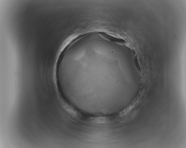 X0000112200104200908281447