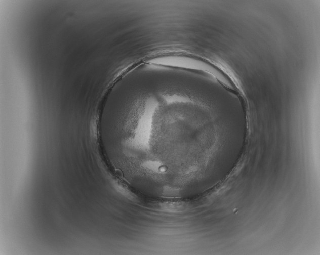 X0000112200105200908281447