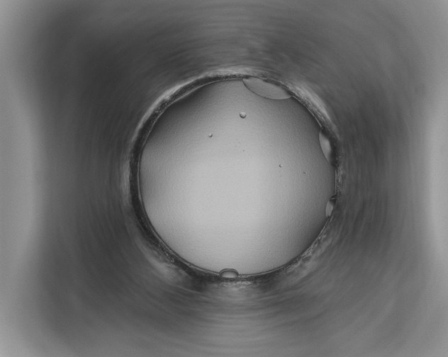 X0000112200108200908281447